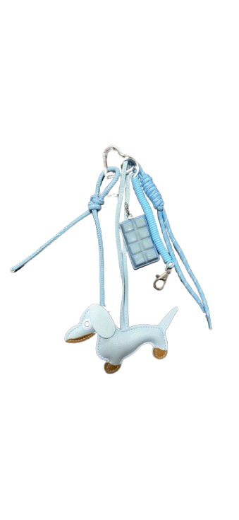 Hochwertiger Schlüssel- & Taschenanhänger – Stilvolles Accessoire 🩵